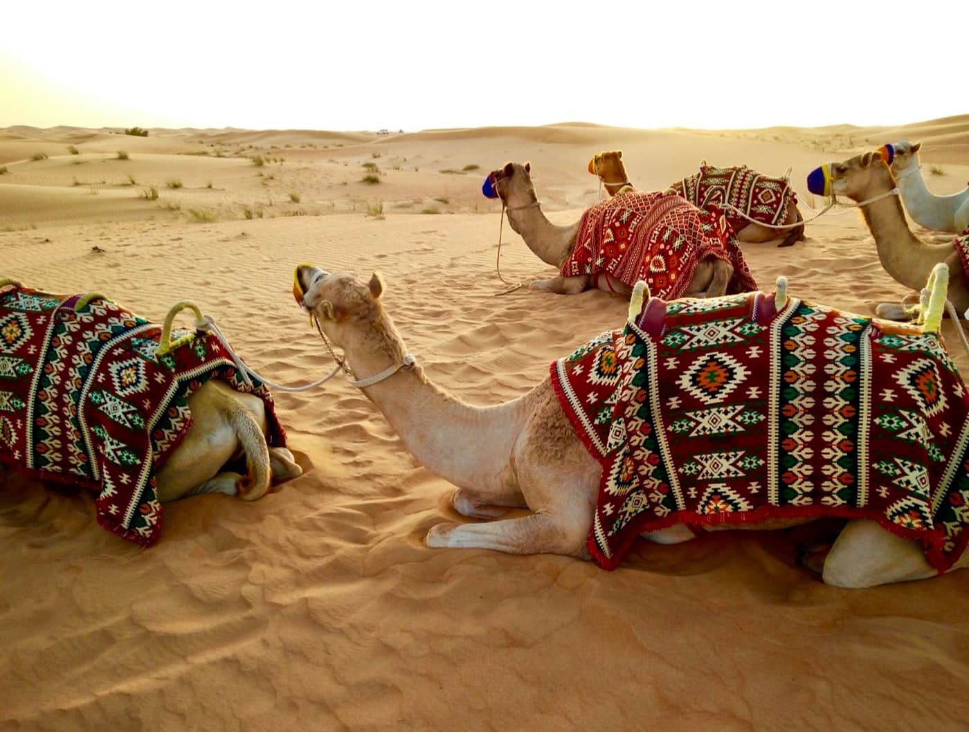 Dubai photo 2